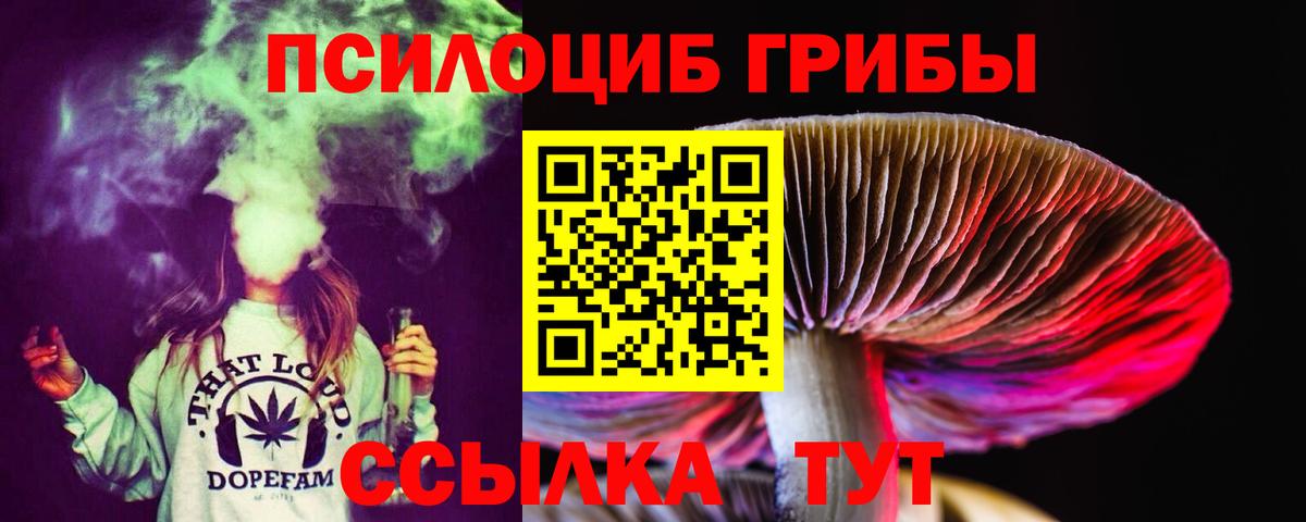 Псилоцибиновые грибы GOLDEN TEACHER Саратов
