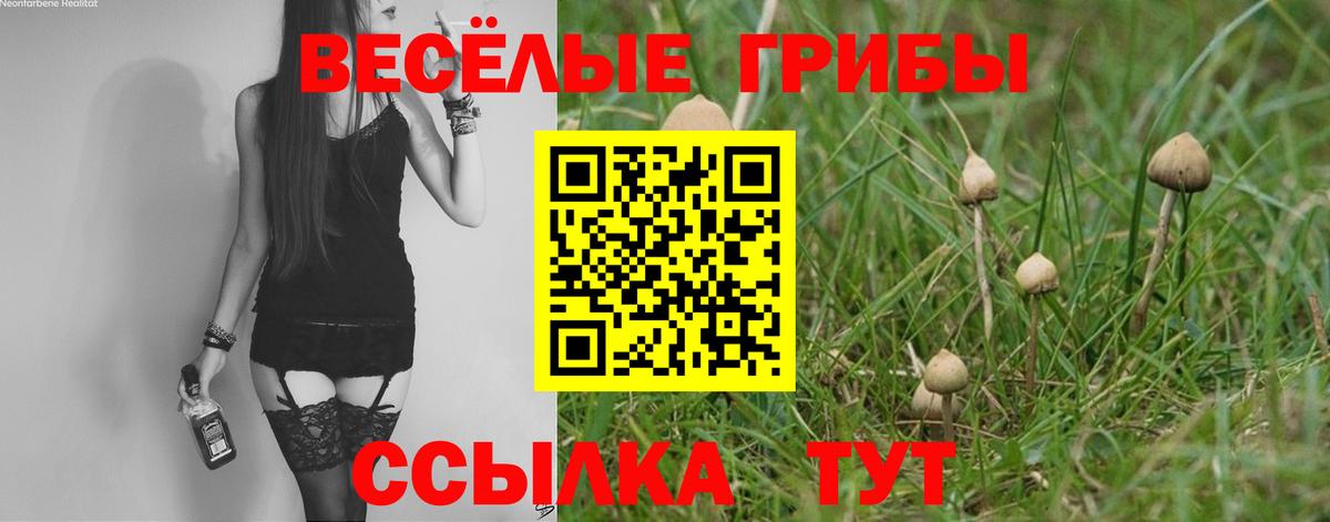 Галлюциногенные грибы прущие грибы  Галлюциногенные грибы Psilocybine cubensis  Саратов  Вход с VPN 